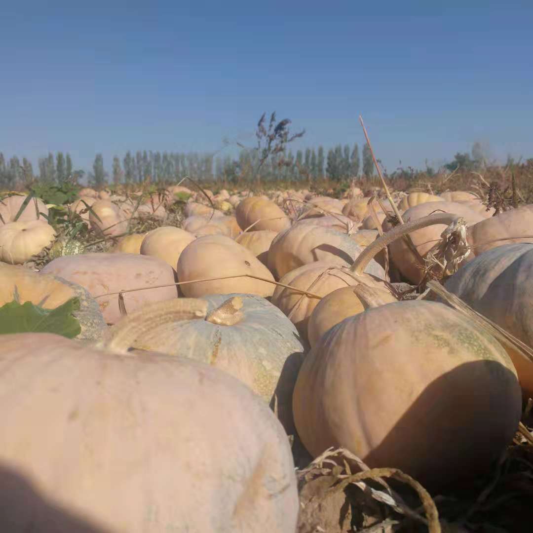 WeChat Image_20180930161731.jpg