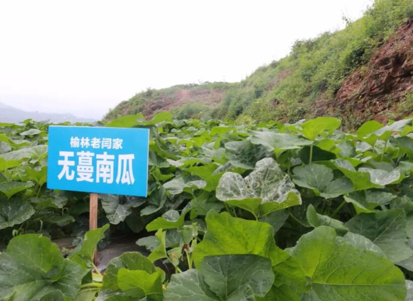 QQ截圖20190703175934.jpg