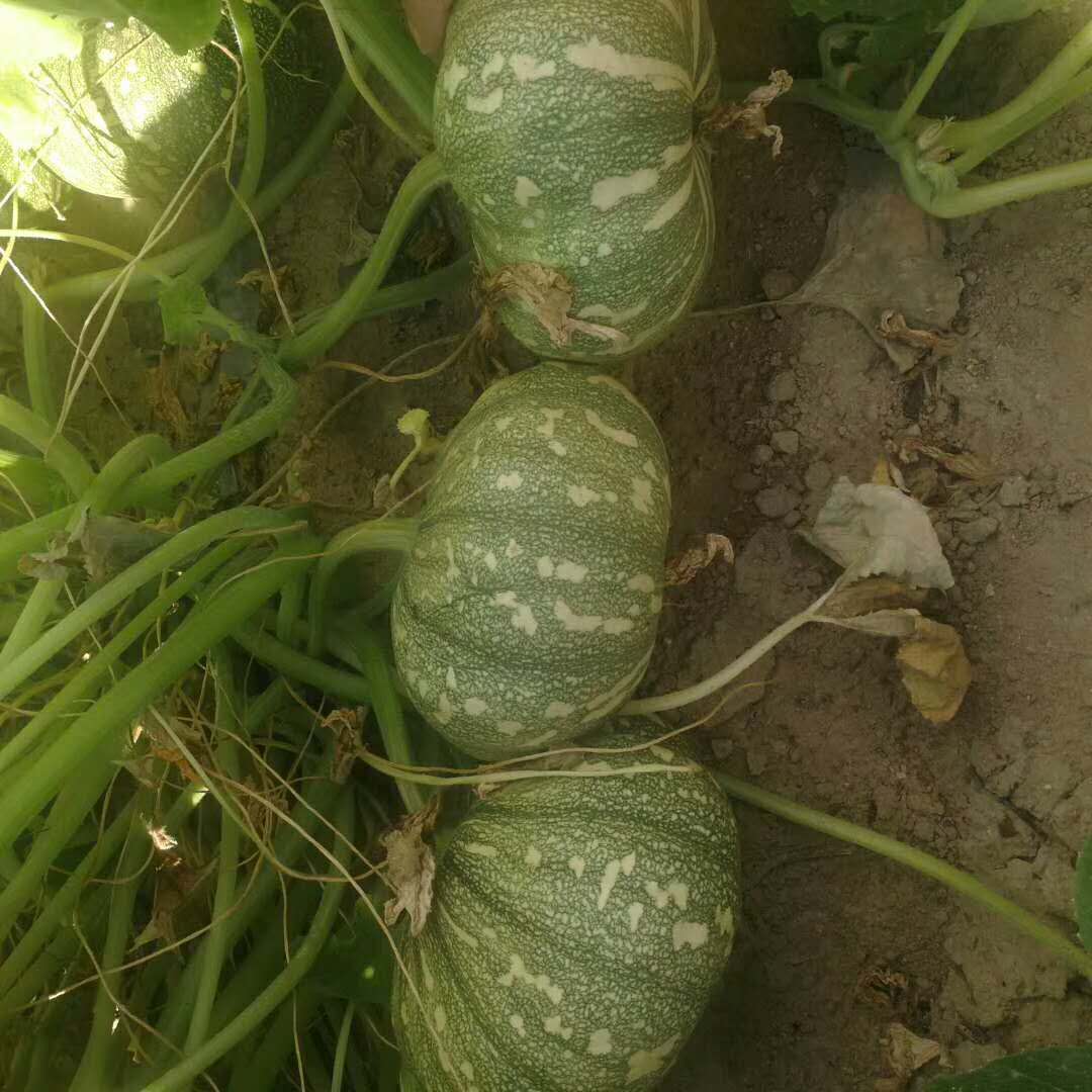 WeChat Image_20180717104457.jpg