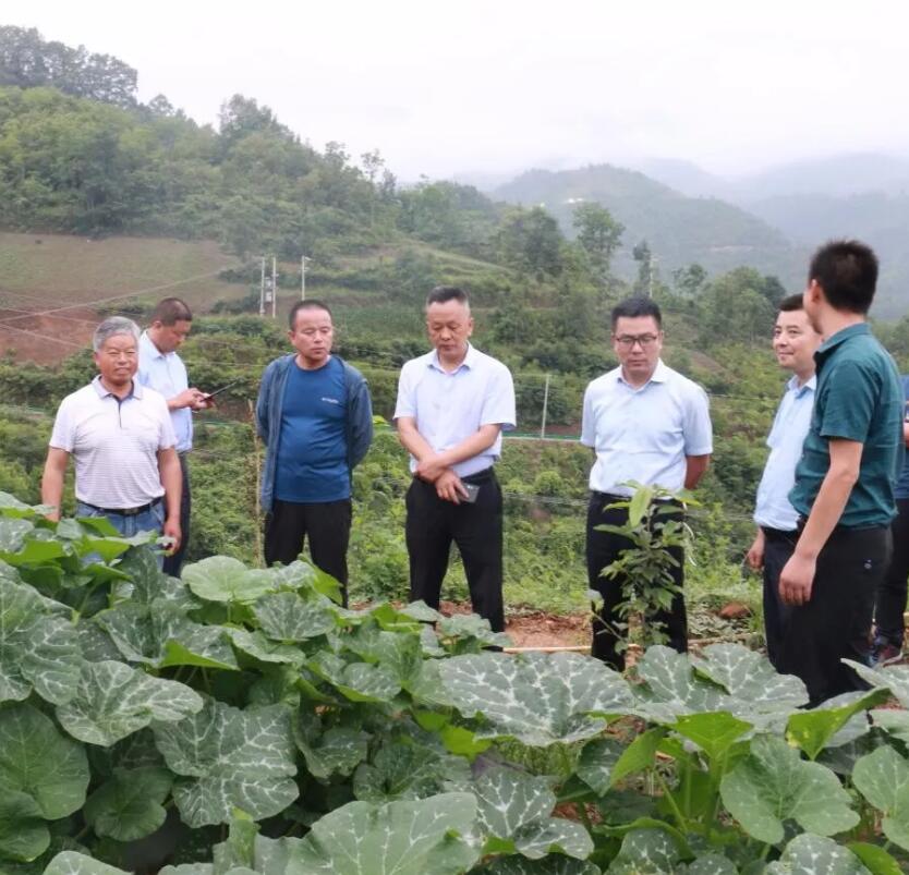 QQ截圖20190703175958.jpg